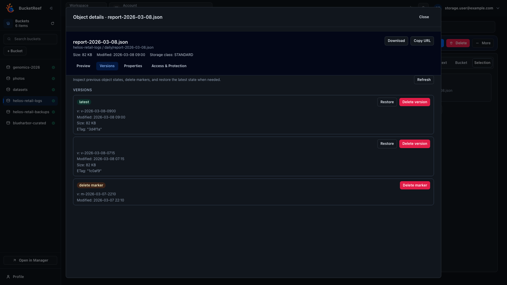 Browser object versions modal showing prior versions and delete markers for a daily report