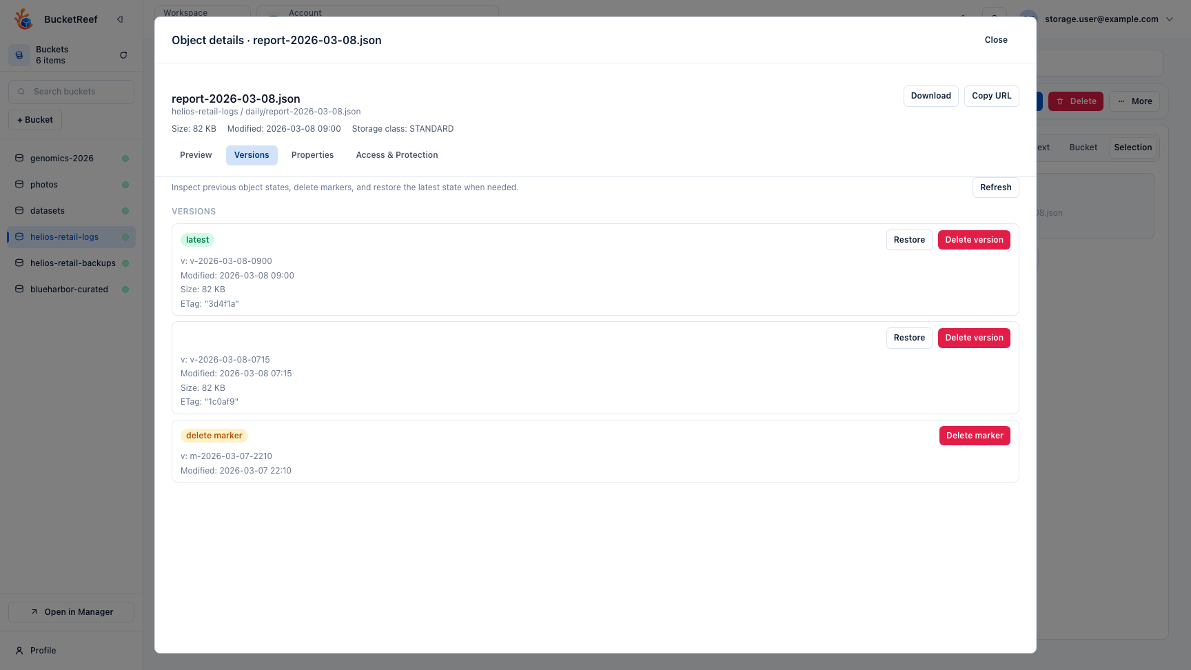 Browser object versions modal showing prior versions and delete markers for a daily report